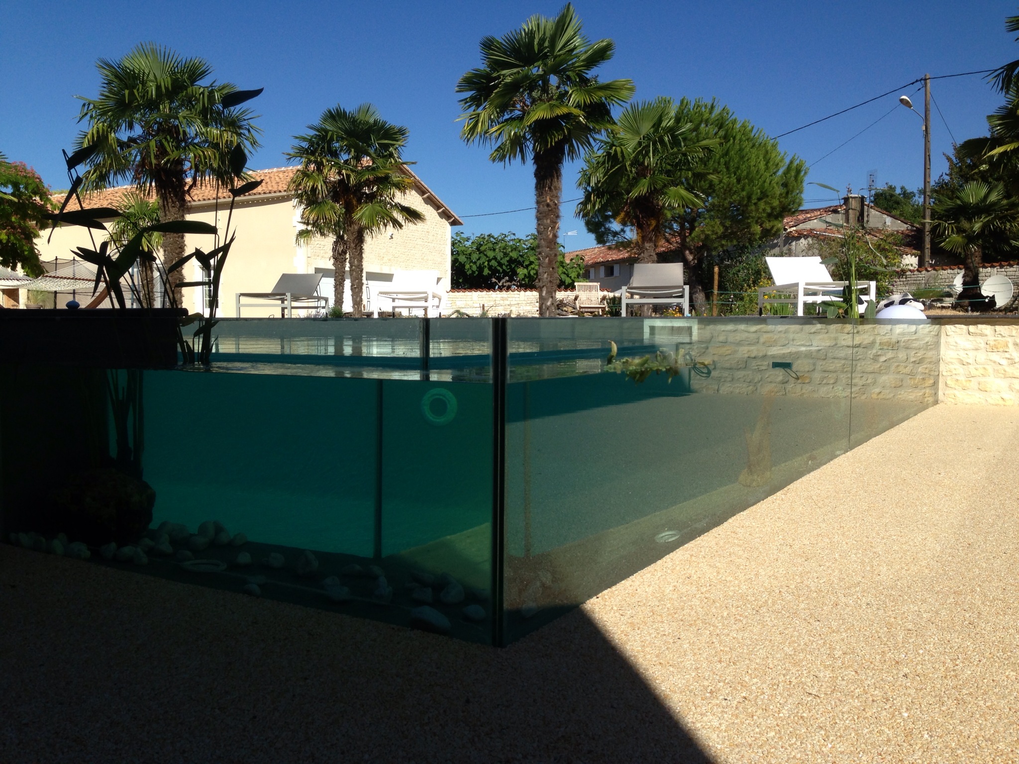 Réalisation Piscines & Concept - Piscine traditionnelle - Paroi en verre - Volet immergé