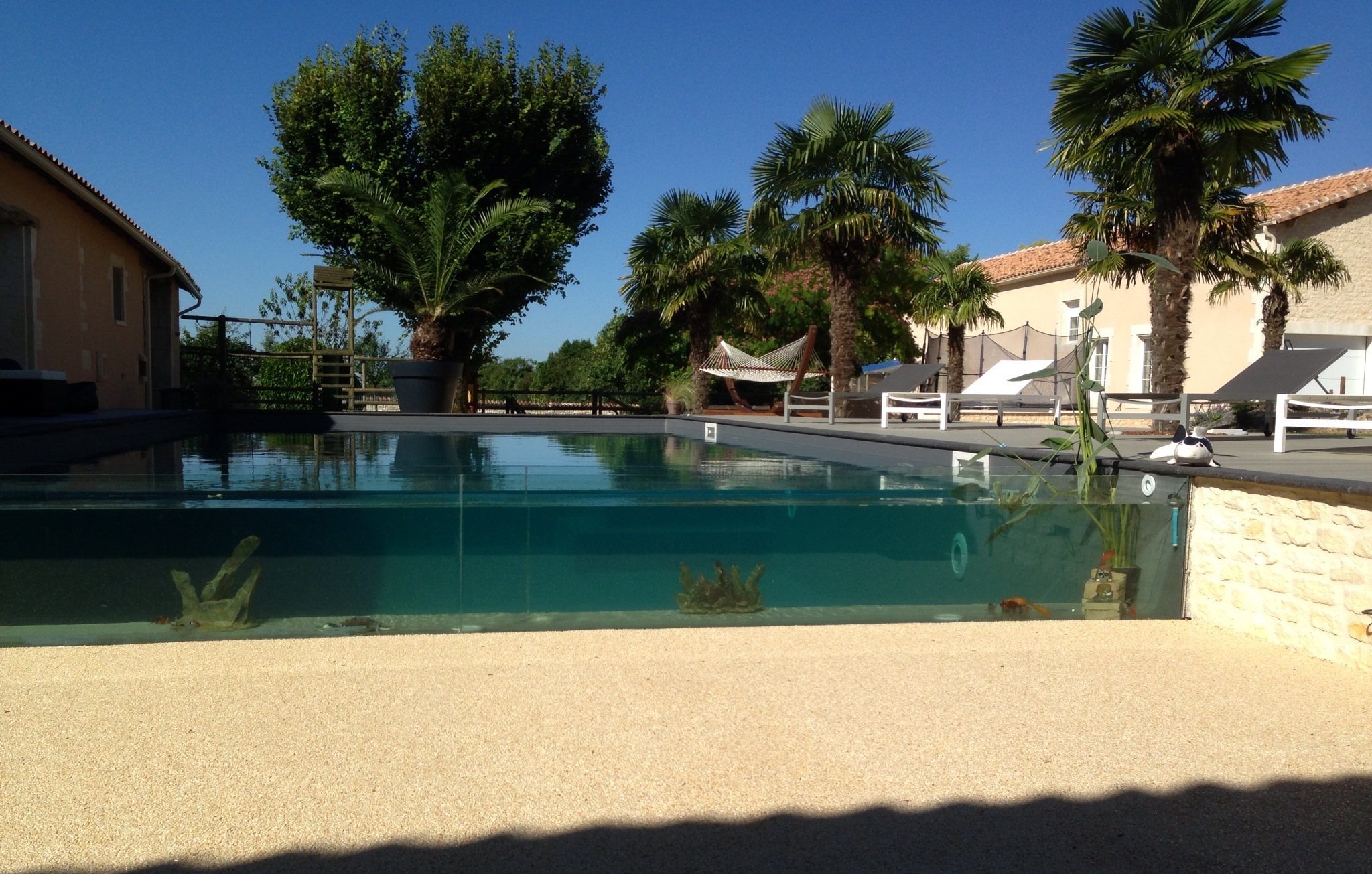 Réalisation Piscines & Concept - Piscine traditionnelle - Paroi en verre - Volet immergé